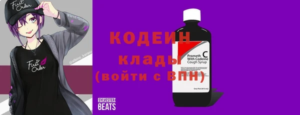 спиды Горняк