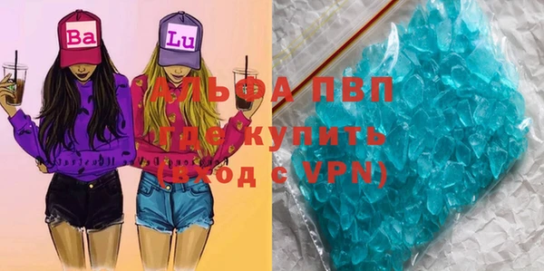 спиды Горняк
