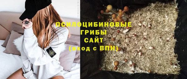альфа пвп Горно-Алтайск