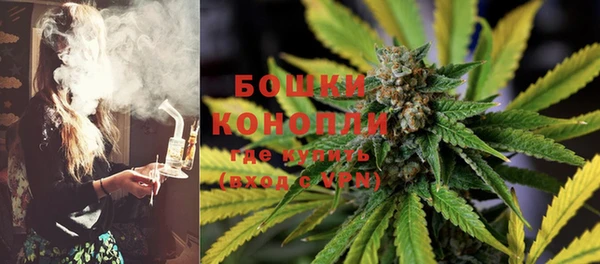 спиды Горняк
