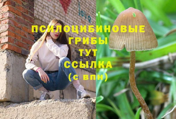 дмт Горнозаводск