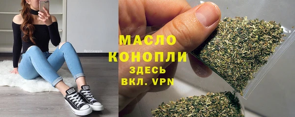 спиды Горняк