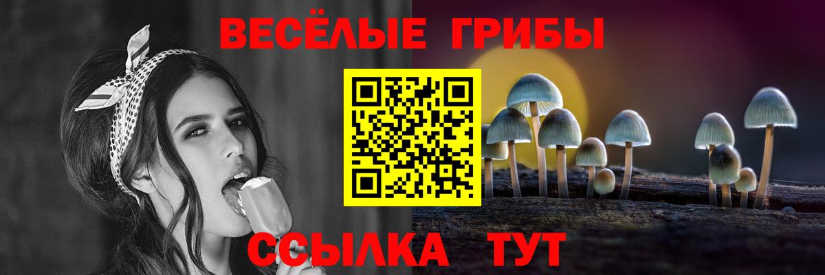 Галлюциногенные грибы прущие грибы  Вход с VPN  Дивногорск  Псилоцибиновые грибы мухоморы 